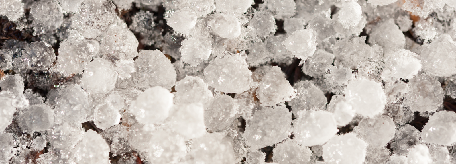 Hail on the ground. What to do with hail damage Wyoming WyHy