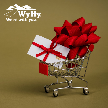 Shopping tips from WyHy to shop smarter this holiday season.